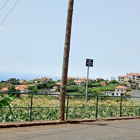Madeira Roots * Canhas