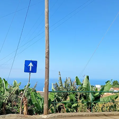 Madeira Roots